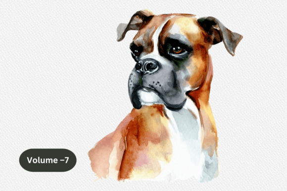 Boxer Dog Watercolor Clipart Volume 7 Review